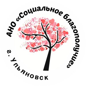 Автономная некоммерческая организация содействия лицам, имеющим проблемы со здоровьем «Центр развития инновационных социальных услуг «Социальное благополучие» 